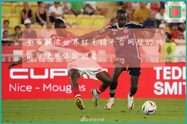 全面解读世界杯竞猜平台网址的功能与使用体验指南