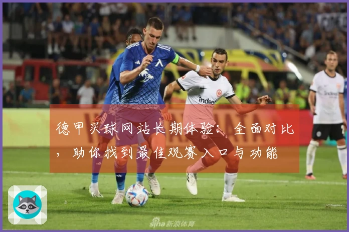 德甲买球网站长期体验：全面对比，助你找到最佳观赛入口与功能