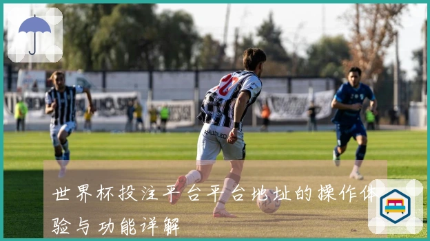 世界杯投注平台平台地址的操作体验与功能详解