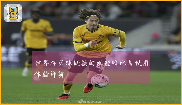 世界杯买球链接的功能对比与使用体验详解