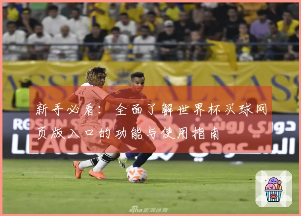 新手必看：全面了解世界杯买球网页版入口的功能与使用指南