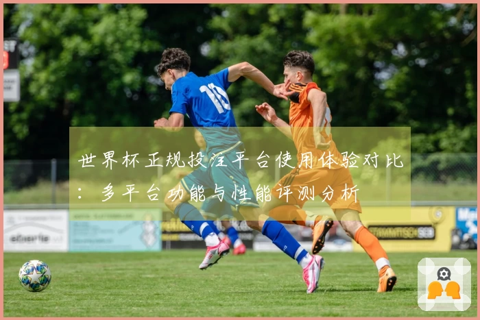 世界杯正规投注平台使用体验对比:多平台功能与性能评测分析