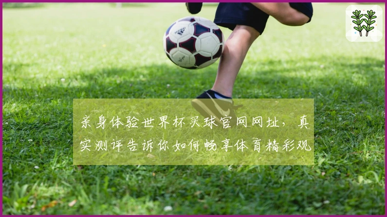 亲身体验世界杯买球官网网址，真实测评告诉你如何畅享体育精彩观看