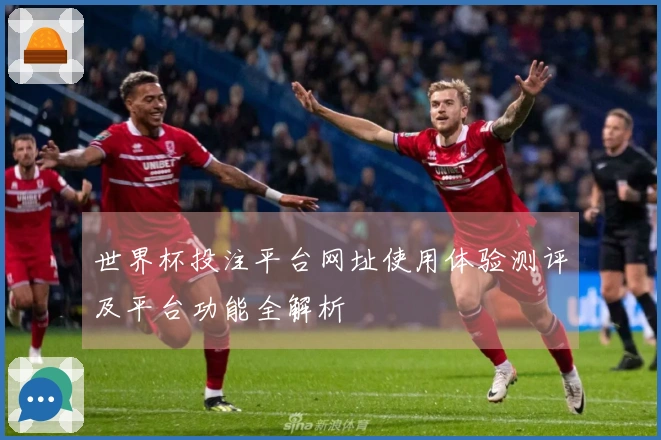 世界杯投注平台网址使用体验测评及平台功能全解析