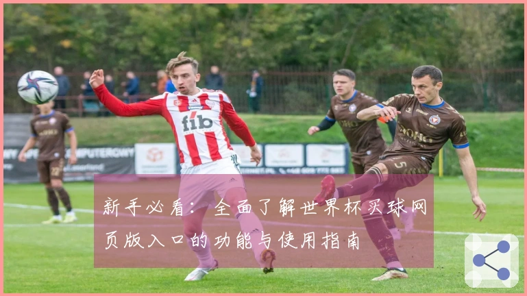 新手必看:全面了解世界杯买球网页版入口的功能与使用指南