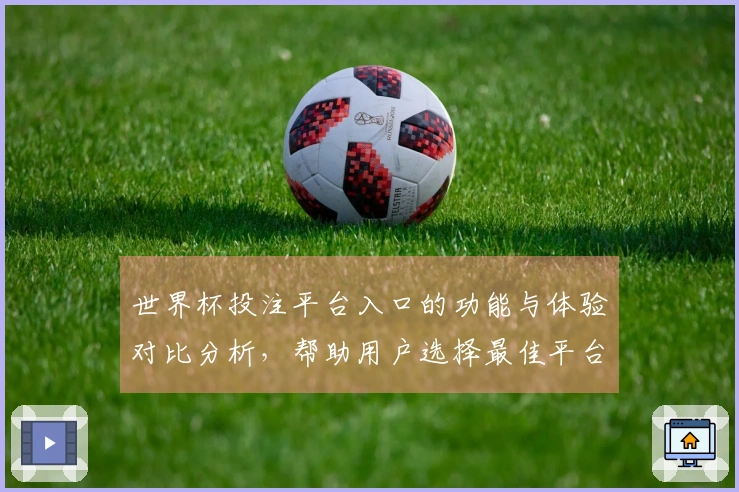 世界杯投注平台入口的功能与体验对比分析，帮助用户选择最佳平台