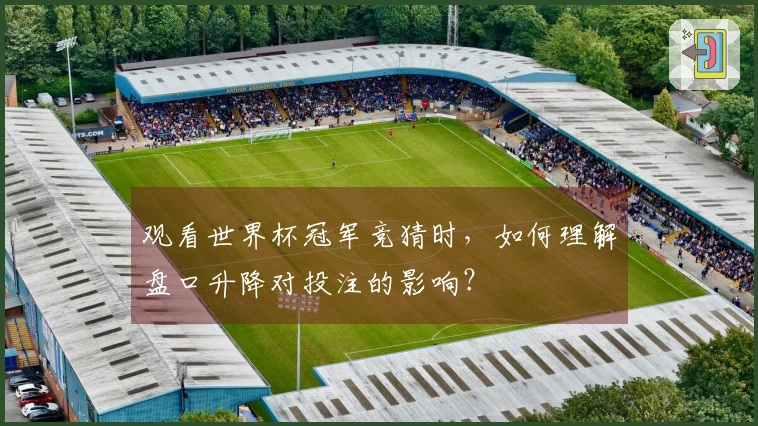 观看世界杯冠军竞猜时,如何理解盘口升降对投注的影响?