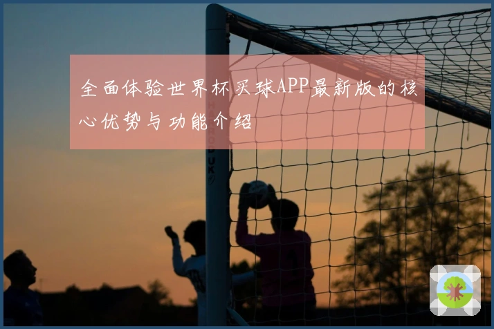 全面体验世界杯买球APP最新版的核心优势与功能介绍