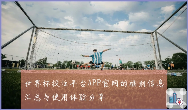 世界杯投注平台APP官网的福利信息汇总与使用体验分享