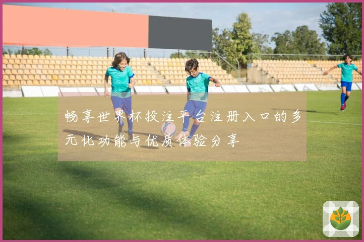 畅享世界杯投注平台注册入口的多元化功能与优质体验分享